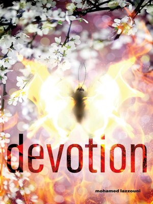 cover image of devotion